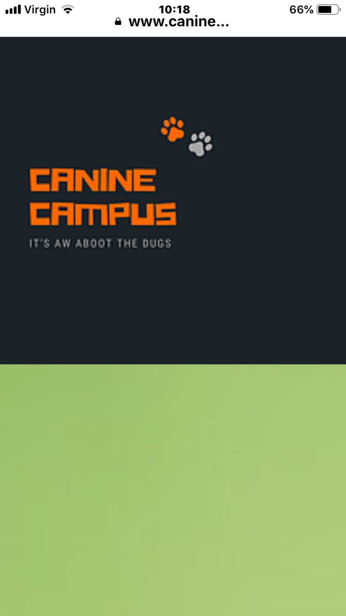 jeffdahkillah's tweet image. Please don’t give money to these people. It’s a big scam.