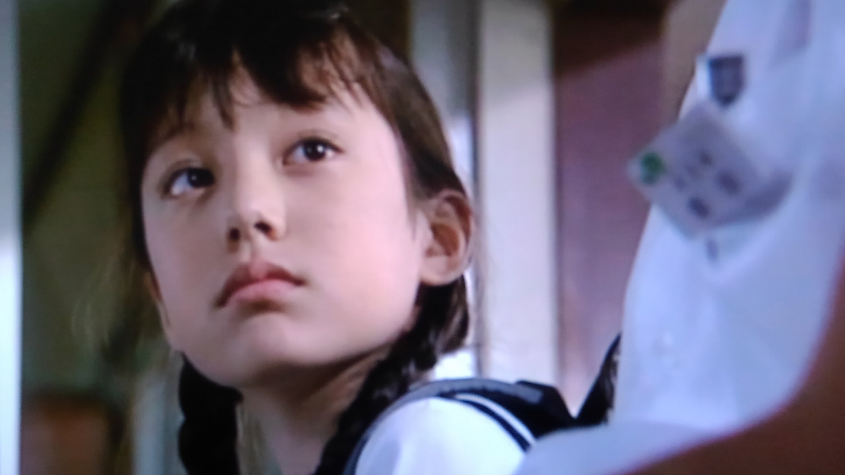 夜の鳥 ドラマ 青い鳥 1997 を視聴 脚本 野沢尚 演出 土井裕泰ほか 出演 豊川悦司 夏川結衣 佐野 史郎 永作博美 山田麻衣子 長野県の田舎町を舞台に 駅員と 町の有力者の妻との恋の逃避行を 描いた話 夏川結衣の娘役を演じ た鈴木杏さんの子役時代の