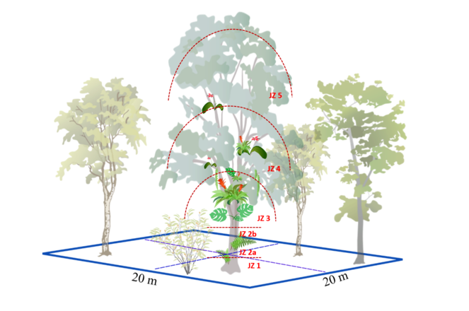 Dylan Craven tweet media