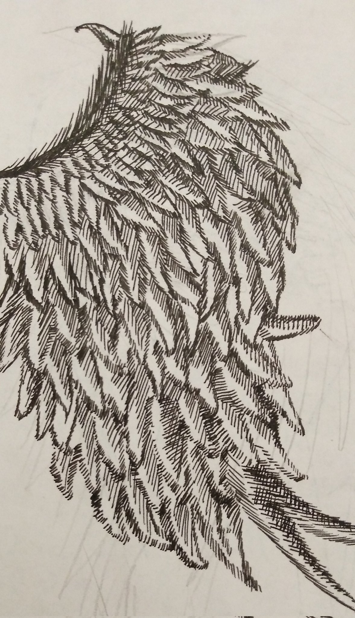 しゃいにぃー 翼の描き方教えてください このままで良いのか それかしっかり線で描くとか ハッチングじゃなくて イラスト ペン画を流してペン画民を増やそう 翼 天使の悪魔 いらすと 羽根 コピックイラスト 無印 T Co Kb54boufpm Twitter