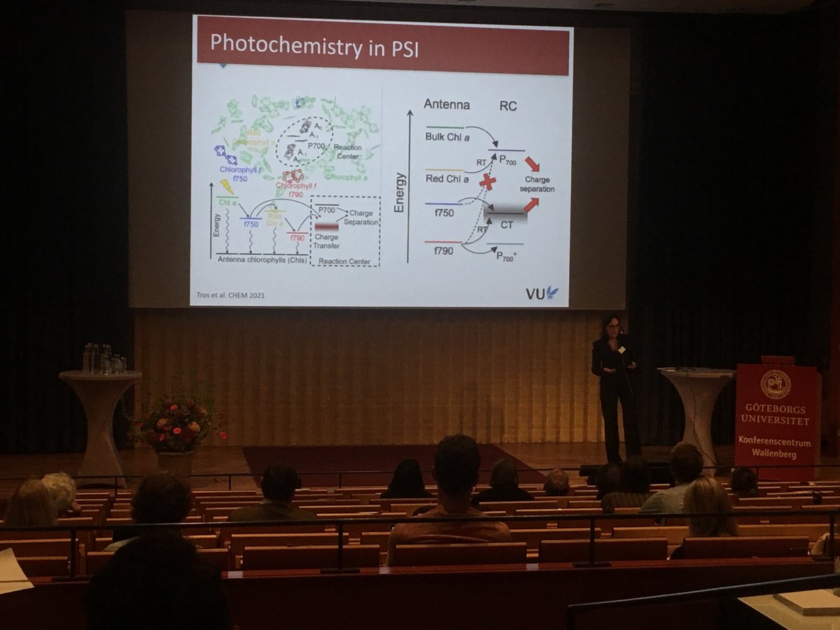 AlizeeMalnoe's tweet photo. Photosystems with Chl f have (almost) no more secrets! Superb talk from Roberta Croce “the queen of the red traps” says Nathan Nelson 👏 to @photosyn_Adam #NPC15 @photocongress https://t.co/RiQCXbqzwr