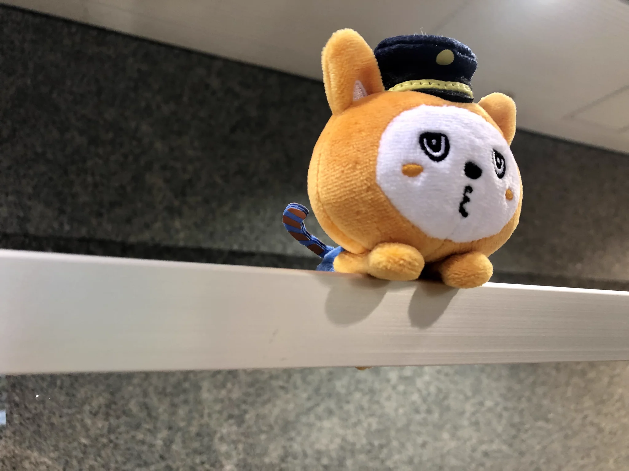 【新品未使用50点以上】相鉄　そうにゃん　グッズ 相鉄 公式 on X: 