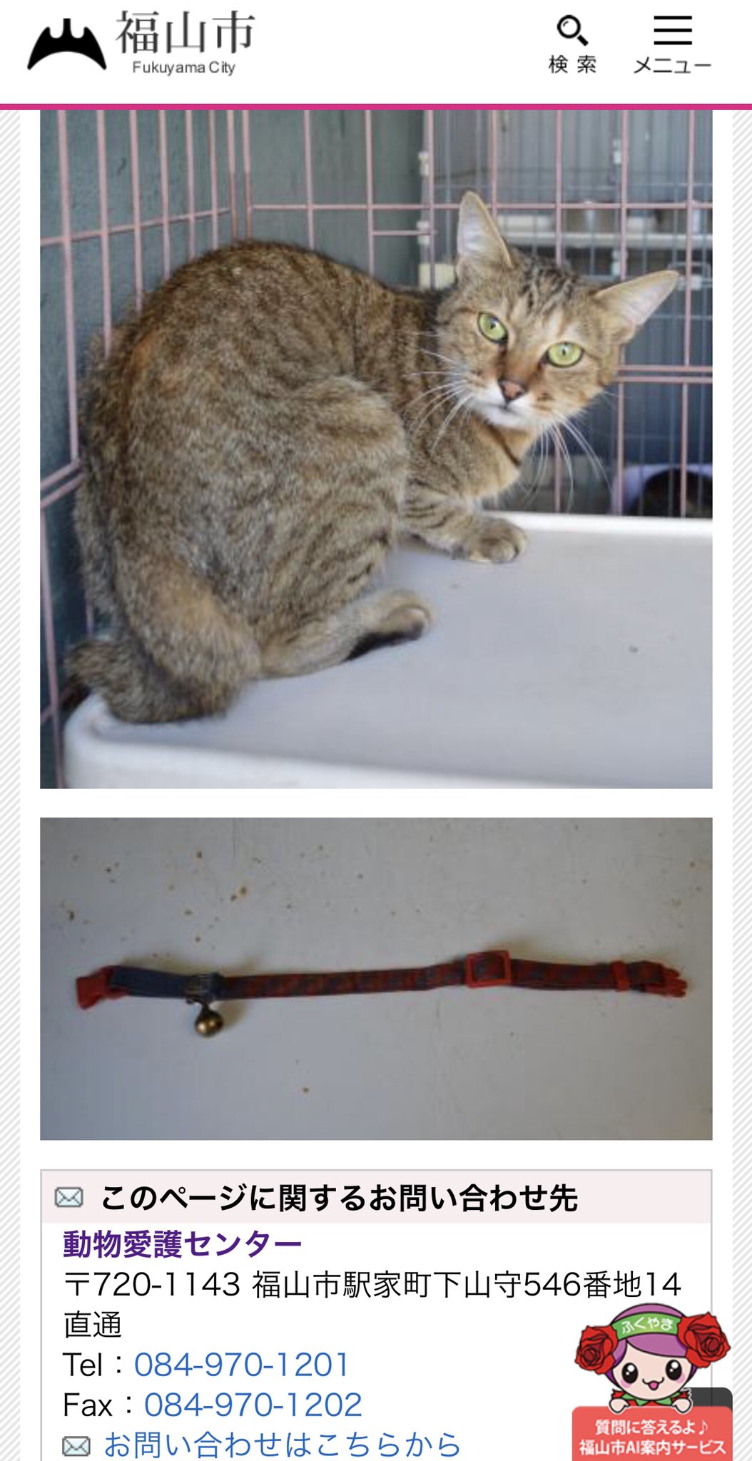 福山市動物愛護センター Twitter Search Twitter