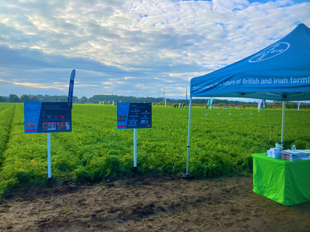 Amy King tweet media