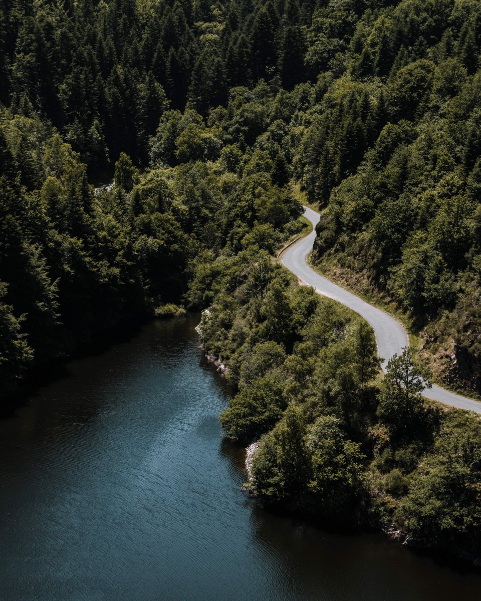 BOBEE Spot tweet media