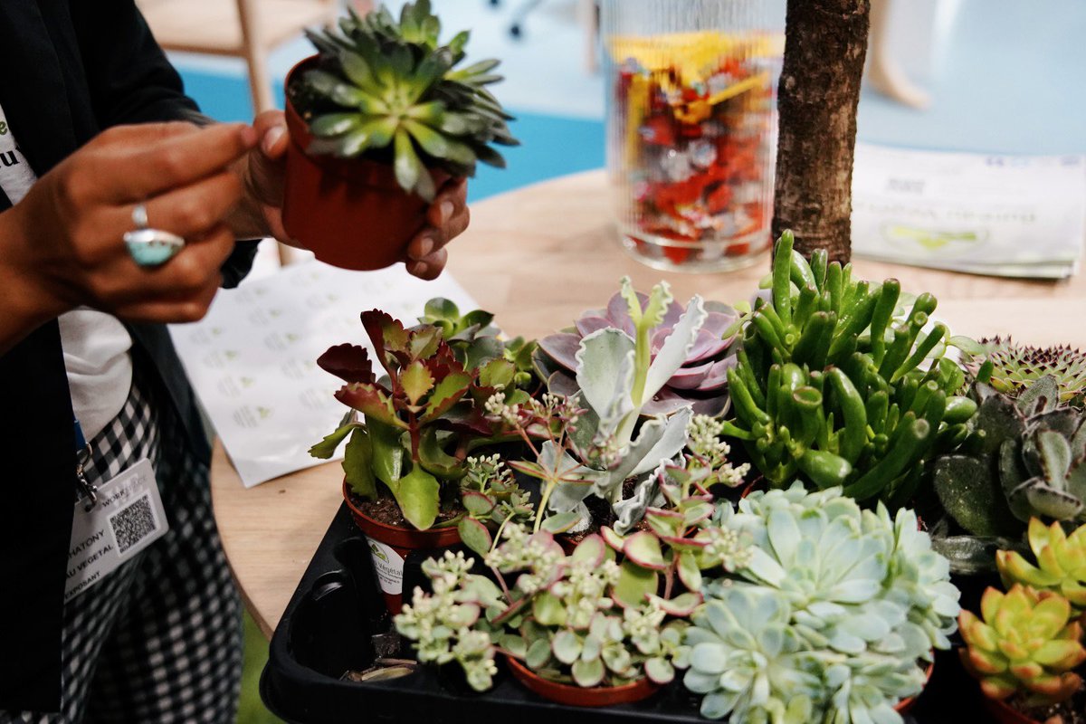 Workspace Expo tweet media