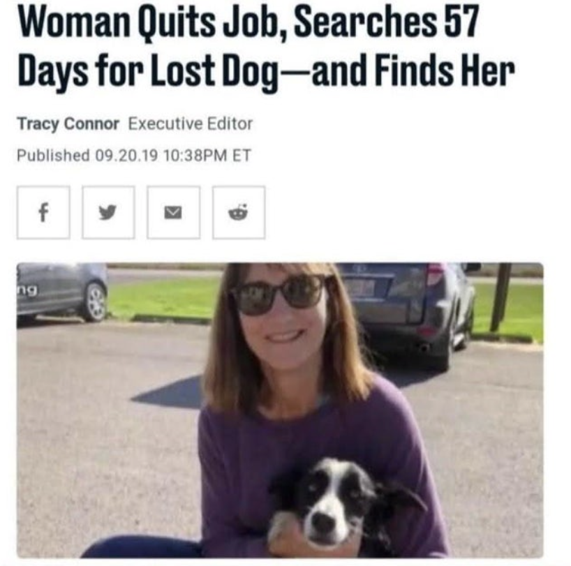 WholesomeMemes tweet media