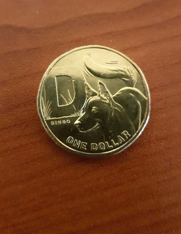 Found the D... oh wait🧐 #furrynumismatics