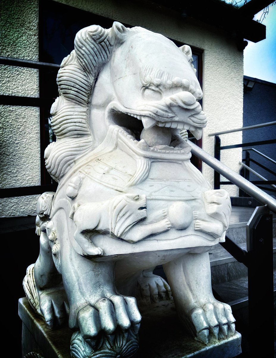 Today’s Photo-shoot <a href="/yuandyou/">Yu & You Restaurant</a> <a href="/victoryu88/">Victor Yu</a> <a href="/vinnyyu1/">Vinny Yu</a>