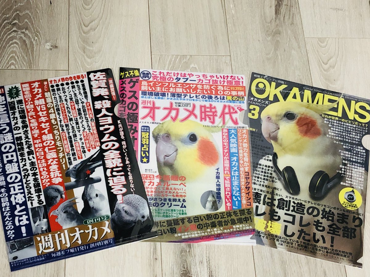 parurine's tweet photo. 町田のハンズで念願のオカメファイルゲット。職場に持ち込んで癒される予定 https://t.co/0M6qQnGwj7