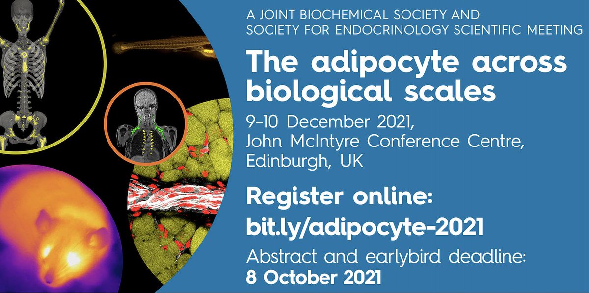 EdinUniMetabolism (@edinunimetabol) on Twitter photo The Adipocyte (across biological scales) meeting <a href="/EdinUniMetabol/">EdinUniMetabolism</a> <a href="/BiochemSoc/">Biochemical Society</a> <a href="/Soc_Endo/">Society for Endo</a> Early bird registration deadline 8th Oct! Please join us in Edinburgh/online Dec 9/10 - abstracts ext'd 22nd Oct. Fantastic international line-up: register/prog here: bit.ly/adipocyte-2021 The Adipocyte (across biological scales) meeting <a href="/EdinUniMetabol/">EdinUniMetabolism</a> <a href="/BiochemSoc/">Biochemical Society</a> <a href="/Soc_Endo/">Society for Endo</a> Early bird registration deadline 8th Oct! Please join us in Edinburgh/online Dec 9/10 - abstracts ext'd 22nd Oct. Fantastic international line-up: register/prog here: bit.ly/adipocyte-2021