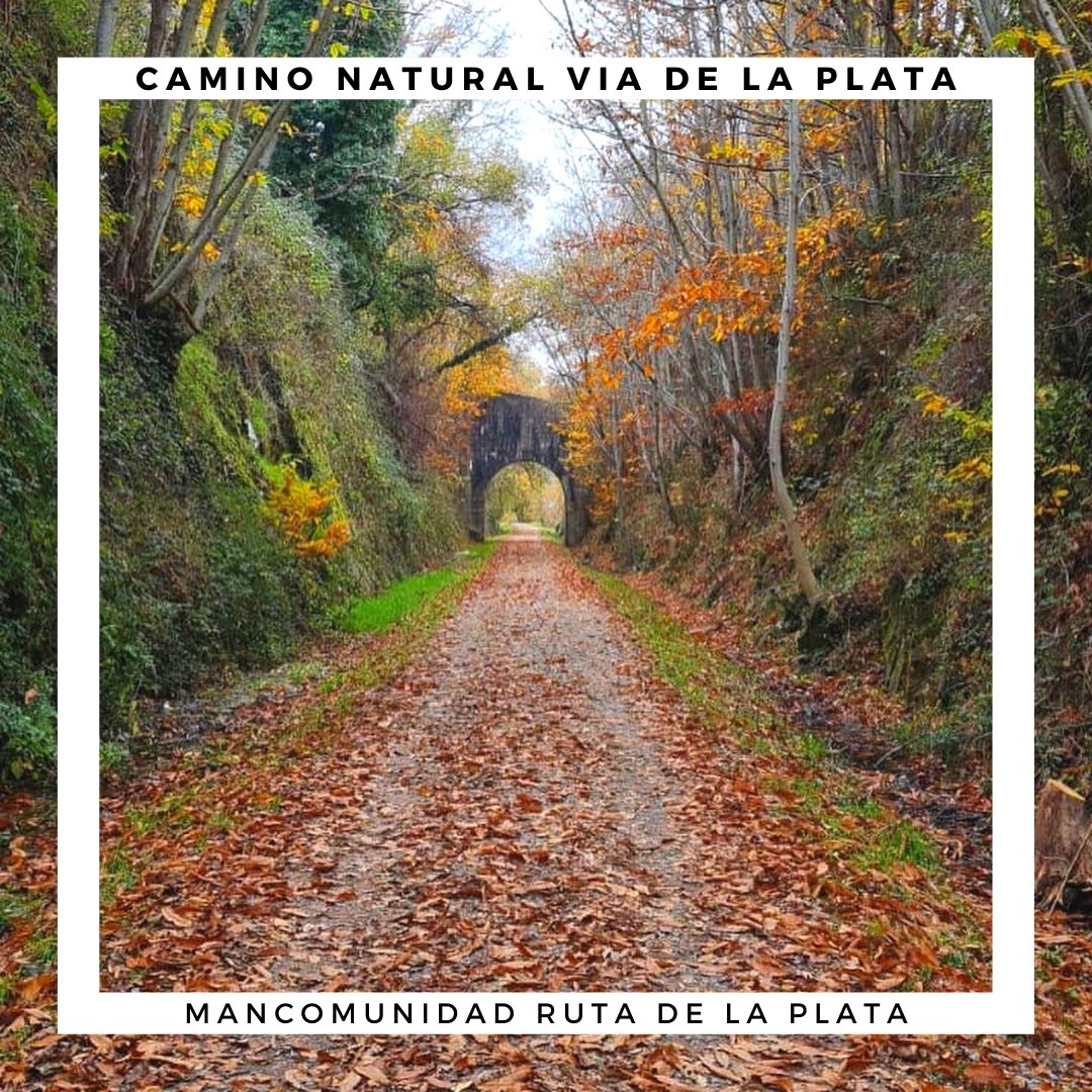 RutadelaPlataSa's tweet photo. 🚶‍♂️🚶‍♀️ ¿Hacia dónde te llevará el camino este #PuentedelPilar? 🍂 Hay maravillosas #rutas como el Camino Natural - Vía Verde #VíadelaPlata 🚶🚵🏻 que discurre por las faldas de la #SierradeBejar atravesando pueblos encantadores como #Cantagallo y #PuertodeBejar 🗺️
📸 @dipusalamanca https://t.co/qF8EBUZoHX