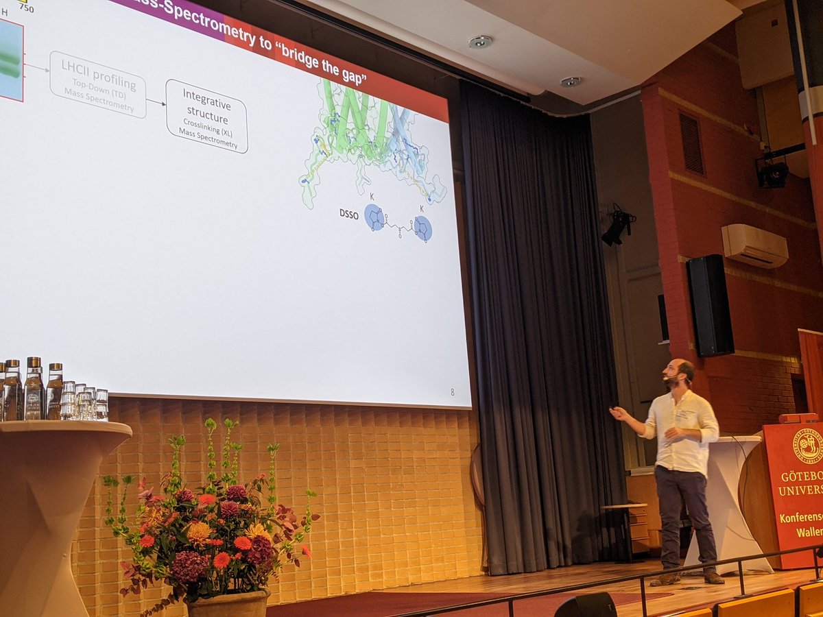 xlinkx_pd's tweet photo. Structural proteomics in the spotlight of photosynthesis 😎. Fantastic talk by @PascalAlbanese at #Npc15 ! Very cool data on intact thylakoid membranes. Happy to have seen this develop in the lab https://t.co/fGhcnsntlq