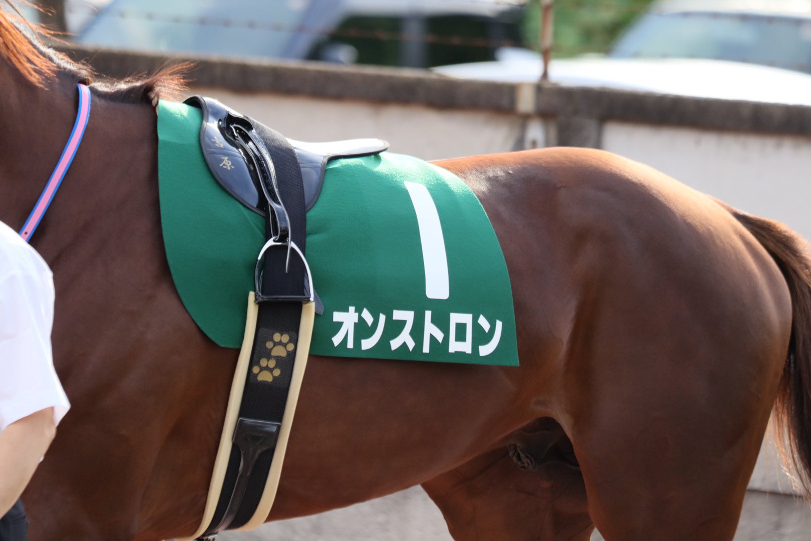 角川秀樹厩舎 Twitter Search Twitter