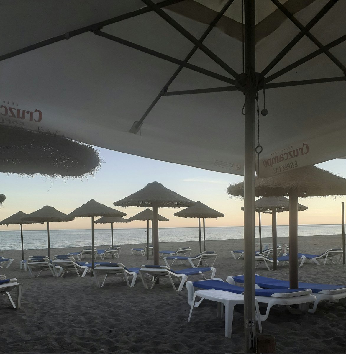 MLG74MLG's tweet photo. 🍹🏖😎 https://t.co/yjPNK0GDHn