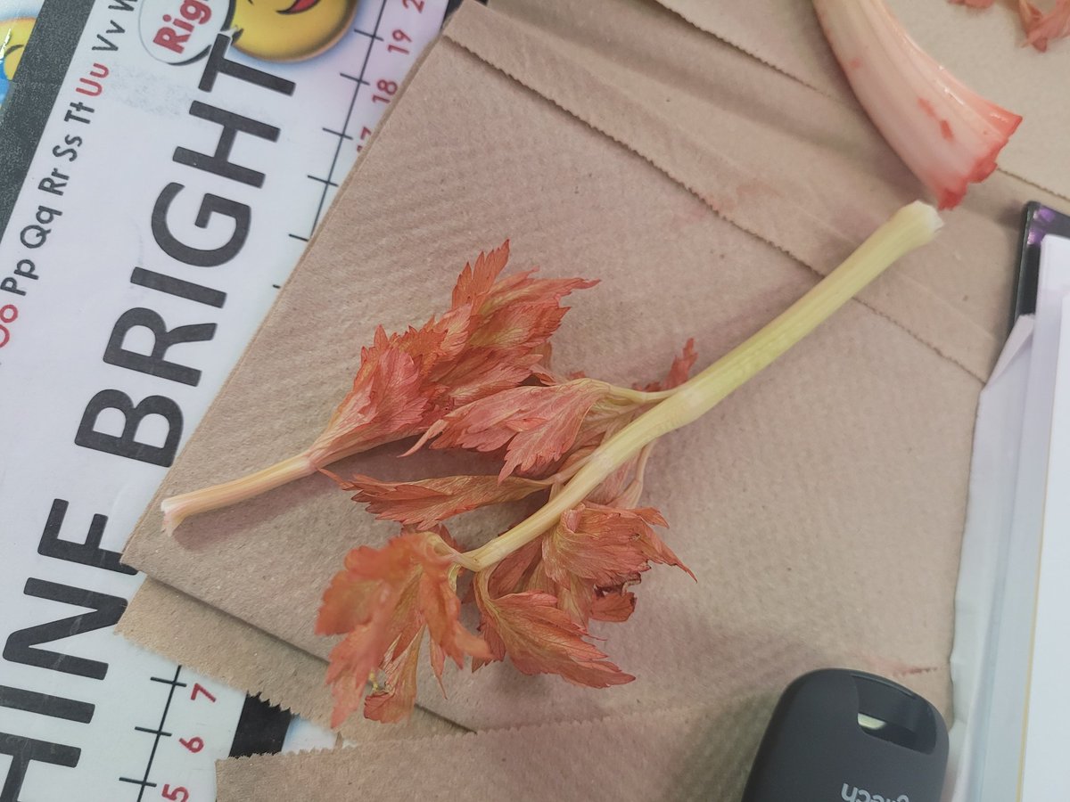 Dr. Erica Brooks tweet media