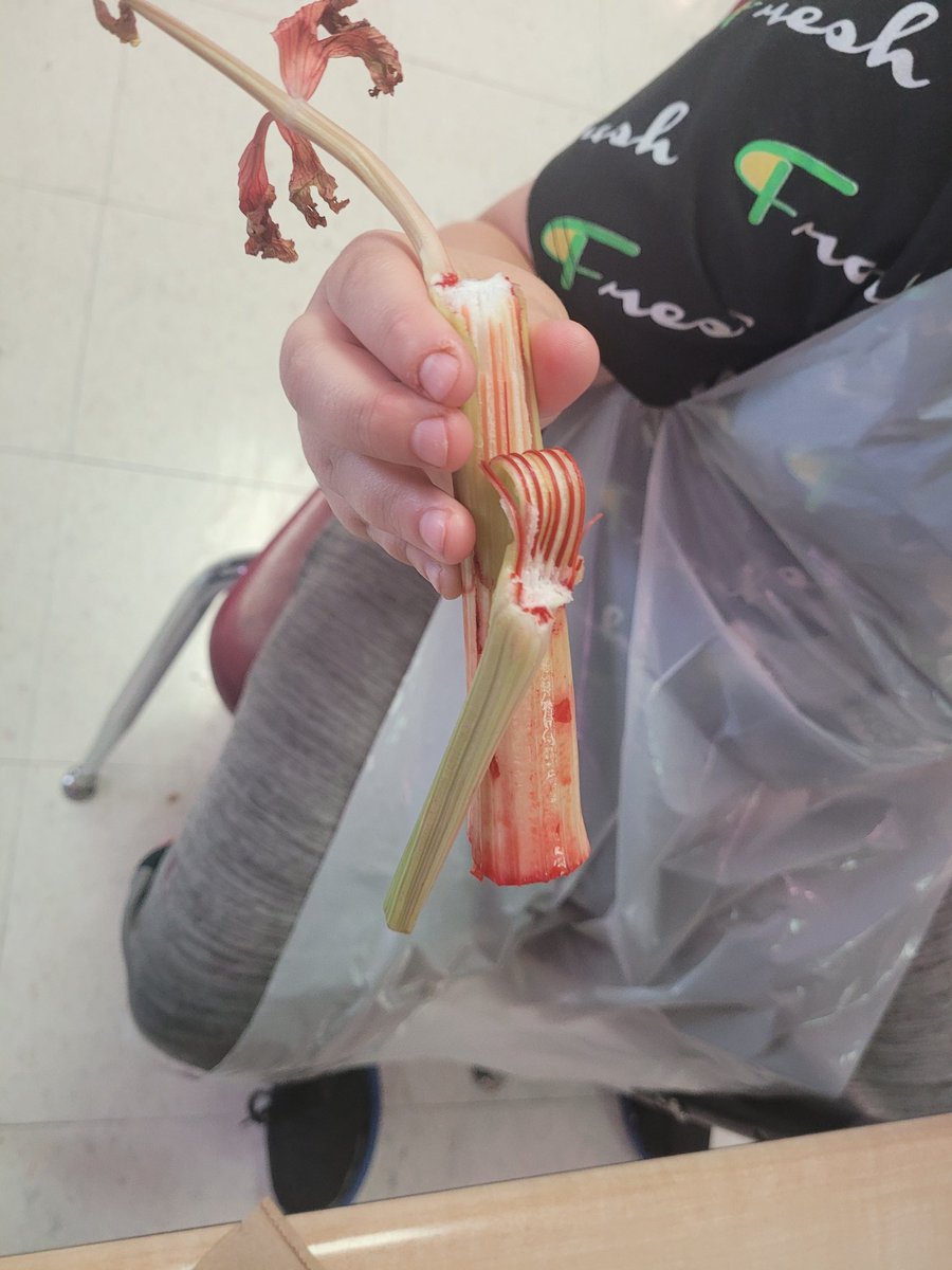 Dr. Erica Brooks tweet media