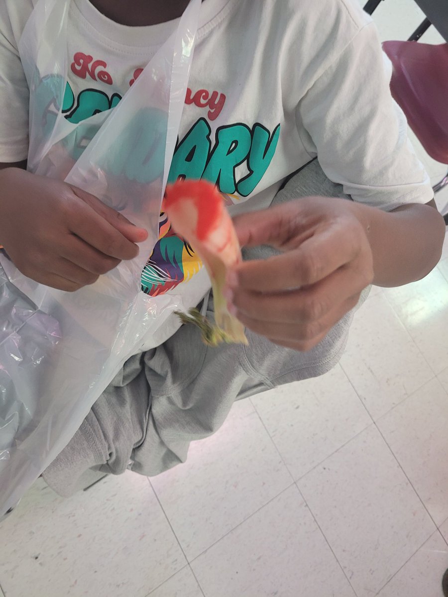 Dr. Erica Brooks tweet media