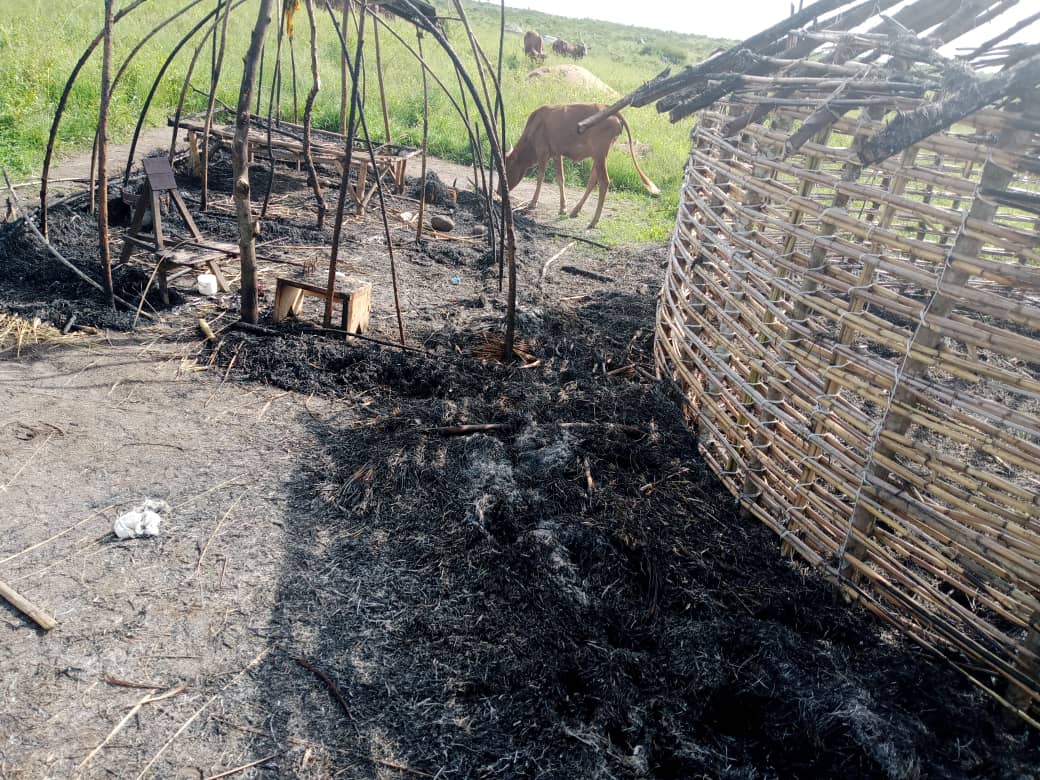 MaishaRdc's tweet photo. #ITURI_RDC: Le Groupe armé CHINI YA KILIMA dit #FPIC viet de tuer une centaine des vaches appartenant aux éleveurs dans le Village de #TINDA. Cette pratique est utilisée par les Milices à l'#EST aux fins tuer des civils avec la famine pour les chasser de leurs villages.(7/10/021) https://t.co/ibtN8u4Q4O