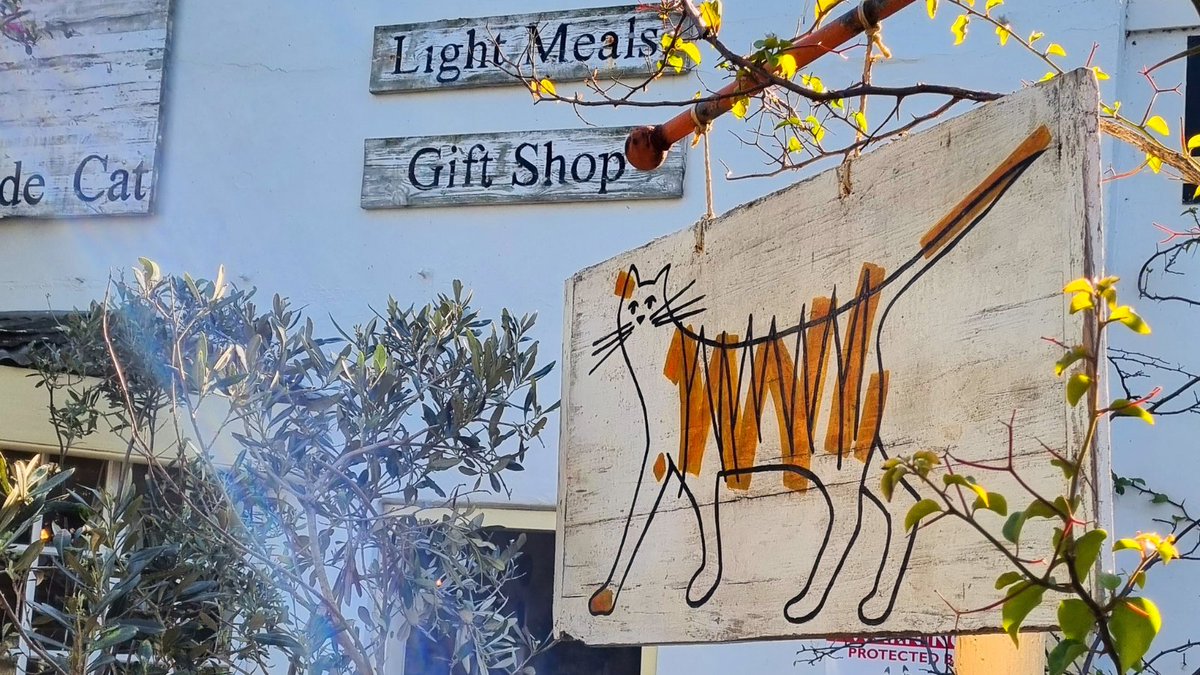 OneStopWander's tweet image. Purrfect spot in Darling!
Coffee, light meals, gifts, homeware &amp;amp; clothes at The Marmalade Cat. Don't you love small town places with oodles of character? 🐈🐾

We made sure we met Marmalade AKA the Maître D, in her pawsome senior glory 🧡
#roadtrip #ShareSouthAfrica #shotleft