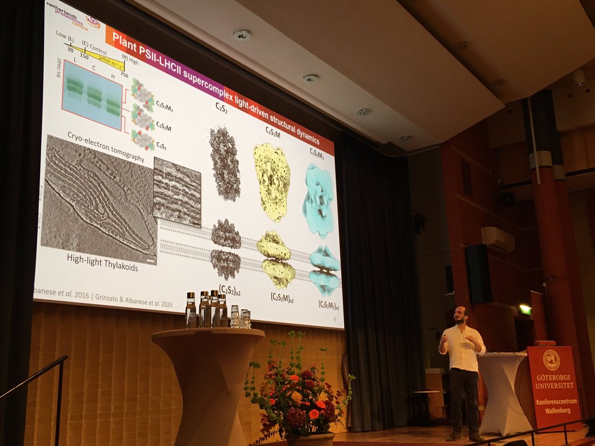 bengeliscious's tweet photo. Beautiful talk by @PascalAlbanese at #NPC15 @photocongress.  Structural proteomics of thylakoid stacking 🌱.  All those stromal LHCII loops can try to hide from #CryoEM but they can’t get away from #MassSpec 😎 https://t.co/Vb91H0bzNo