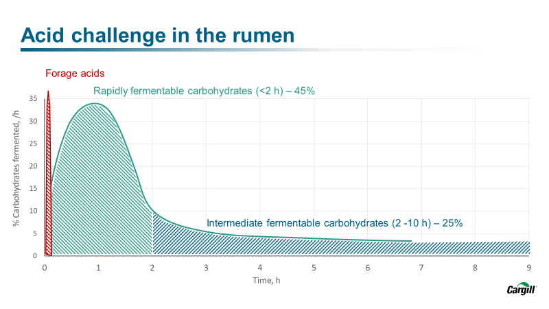 CargillAnimalUK's tweet photo. The pattern of fermentation and ‘acid loads’ highlights the peak in acid levels from silage as fermentation continues. A longer lasting buffer tailored to meet this requirement will keep the bugs happy and promote more efficient fermentation🐄

#TeamDairy #Equaliser #RumenBuffer https://t.co/9ZHL5PcBU6