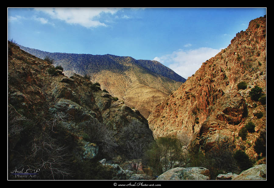 Axel L.P. photo art tweet media