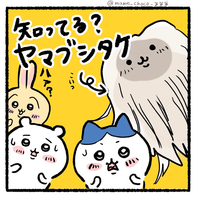 不思議なキノコ🍄
ヤマブシタケ。

ちいかわたちと🐰🐹🐱
ご紹介します💁️

#ちいかわ 