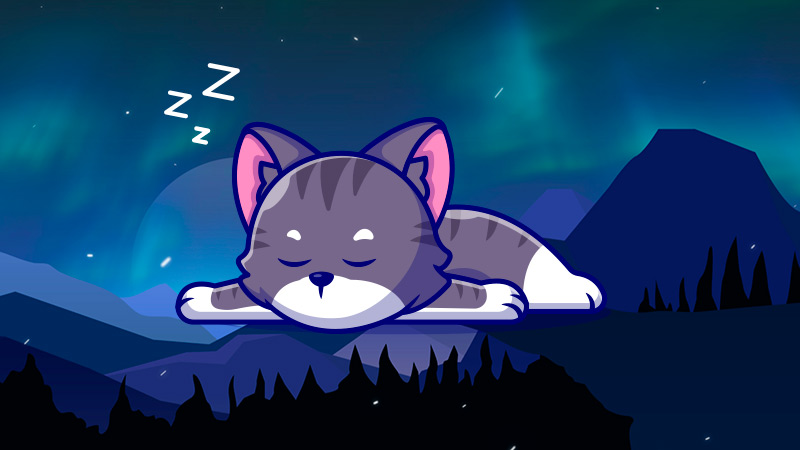 Wir bei #doppelpath träumen jetzt mal 2 Wochen lang nur von #TI10 .... wir sehen uns dann am 24.10. wieder!