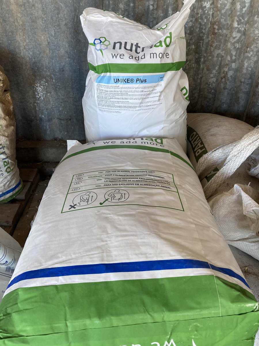 sns_uruguay's tweet photo. Otro productor que opta por dormir tranquilo… el seguro contra el daño causado por las #micotoxinas se llama #UnikePlus
#Nutriad @Adisseo #WeAddMore https://t.co/88kQL7vXc8