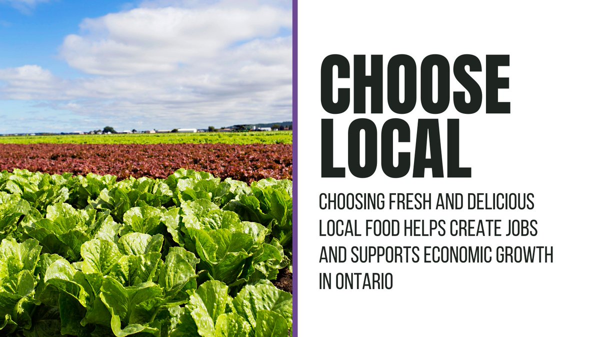This #OntAgWeek, show your support for Ontario farmers and the entire agri-food value chain from field to fork. Download the #AlwaysinSeason I ♥️ Local Social Media Planning Kit to use free images like this one! ofa.on.ca/AlwaysinSeason #OntAgProud