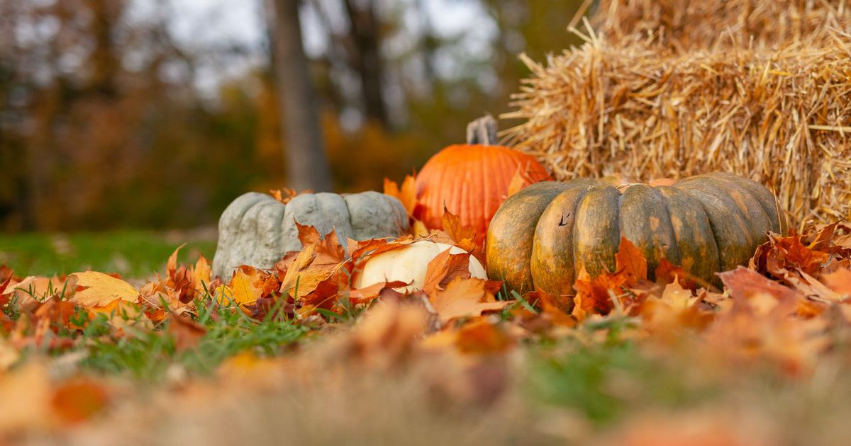 Who's ready for a PUMPKIN FEST?! 
Join the Green Ribbon Committee at Huntington University on October 23 from 10am-12pm for fun games, pumpkin donuts, cider, s’mores, and much more! It's free and open to the public! Learn more --> bit.ly/3iSHhWD