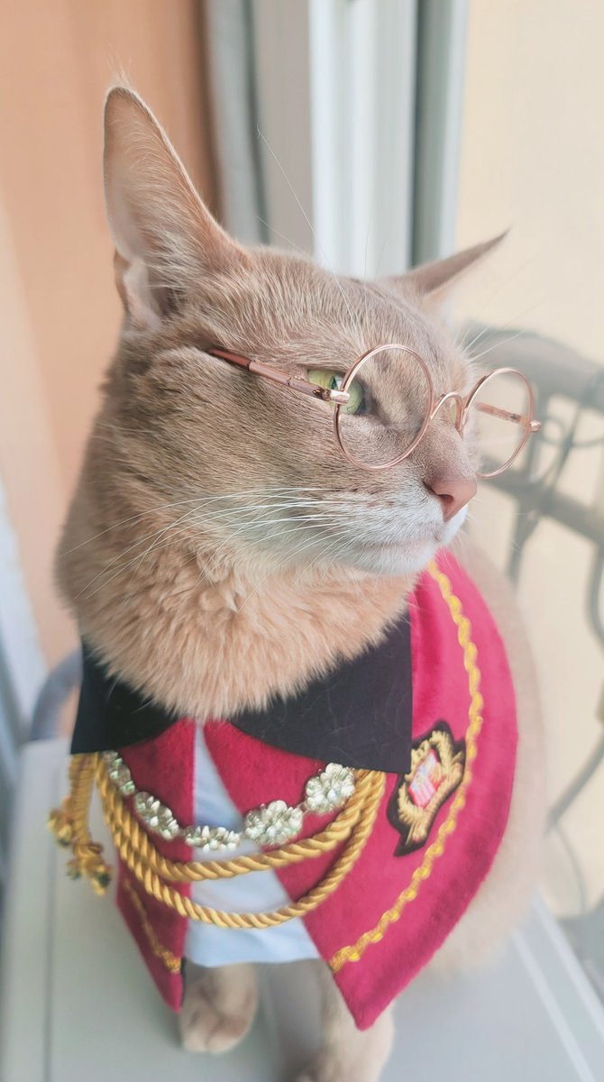 jjunehana's tweet image. 저기 너무 잘생기셨어요