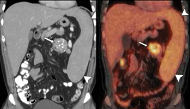 diagnostico911.org tweet media