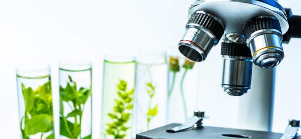 hemp_talk's tweet photo. CBD Science Group aiming to show the value of real-world data as it develops pioneering cannabis-derived pain relief for people with cancer

#hemp #cbd #cannabis #cannabiscommunity #cbdoil #cbdscience https://t.co/gZ4CW2aOjb https://t.co/6UVEvlJmOi