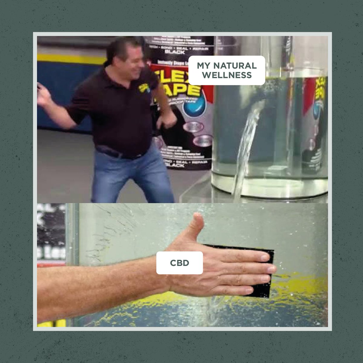 Staying on top of your wellness is important for living a healthy lifestyle. All you need is some high-quality hemp extracts containing CBD to add to your daily routine ✅ 

#SavageCabbage #NaturalWellness #FullSpectrumCBD