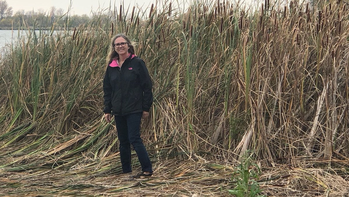 RedRiverBasin's tweet image. Thanks to @Colleen_Sklar, the Executive Director for @WinnipegMetro for coming out on a tour of the Netley Marsh Pilot Project!⁠
⁠
Visit savenetleymarsh.ca to learn more about the project. #savenetleymarsh