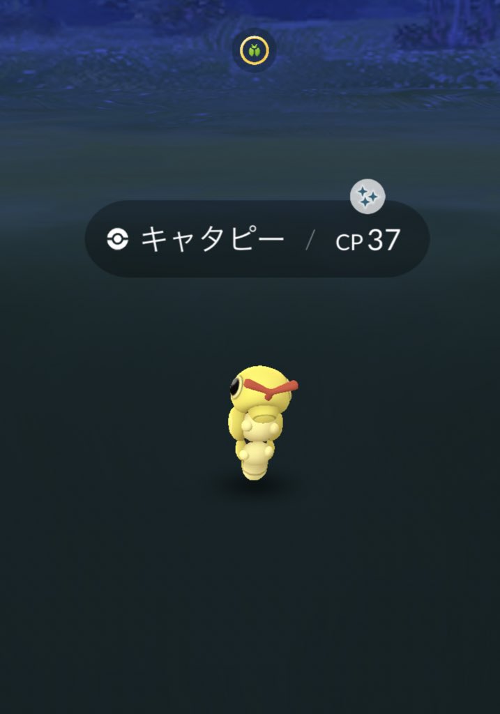 キャタピー色違い Twitter Search Twitter