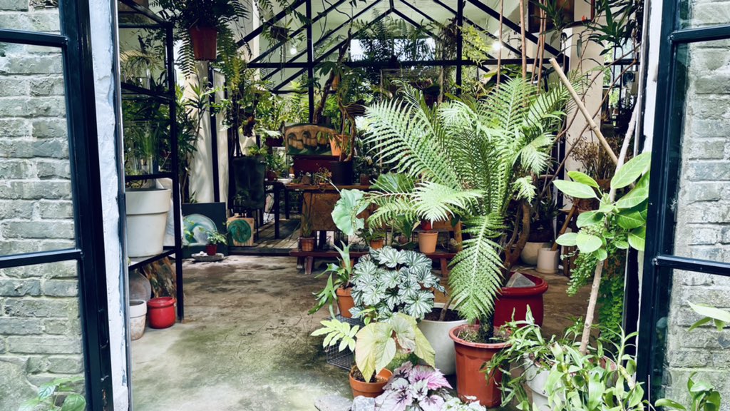 GraceLinLang's tweet photo. Right behind the building blocks in the ancient town in Chongqing, I accidentally ran into a tiny plants exhibition curated by a couple of young folks. Felt their passion for plants and seed conservation. Dozens of teenagers have volunteered to be the guides. Isn’t it amazing! https://t.co/fRJvX8mmFu