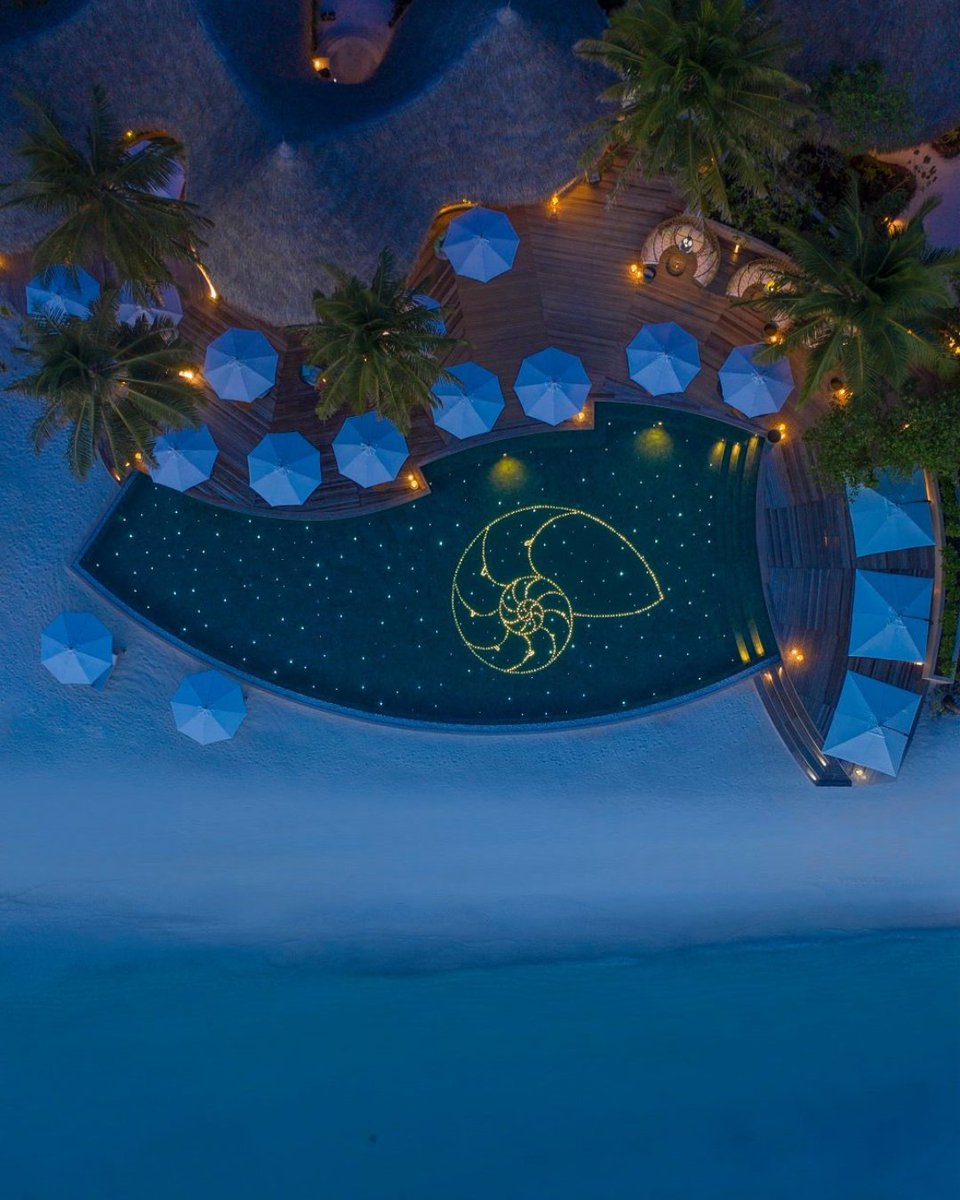 thenautilusmv's tweet photo. We are thrilled and honoured to be recognised amongst the Top Resorts in the Indian Ocean within Condé Nast Traveler's Readers’ Choice Award 2021! Thank you to our beloved guests who voted for us! @CNTraveler #RCA2021 #AWorldOfYourOwnMaking
https://t.co/51ab7h4Ah5 https://t.co/LW0MYbAzcN