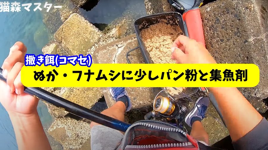 ふかせ釣りにフナムシをエサに クロダイ メジナはマジで釣れるの 釣りとキャンプのマガジンblue S