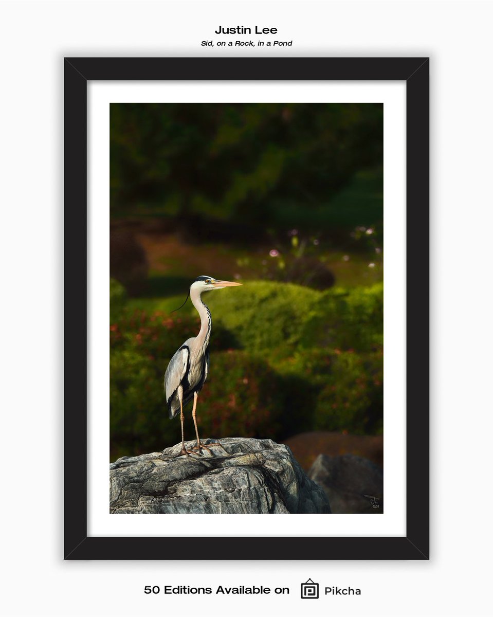 justinadamlee's tweet photo. "Sid, on a Rock, in a Pond"
One of my listings on https://t.co/lmNQj8MhKf limited edition prints
View my gallery at: https://t.co/ZRW26ARirf
#photography #fineart #interiordesigninspiration #printsforsale #pikcha #limitededitionprints #naturephotography #naturelovers https://t.co/gta79aIOaC