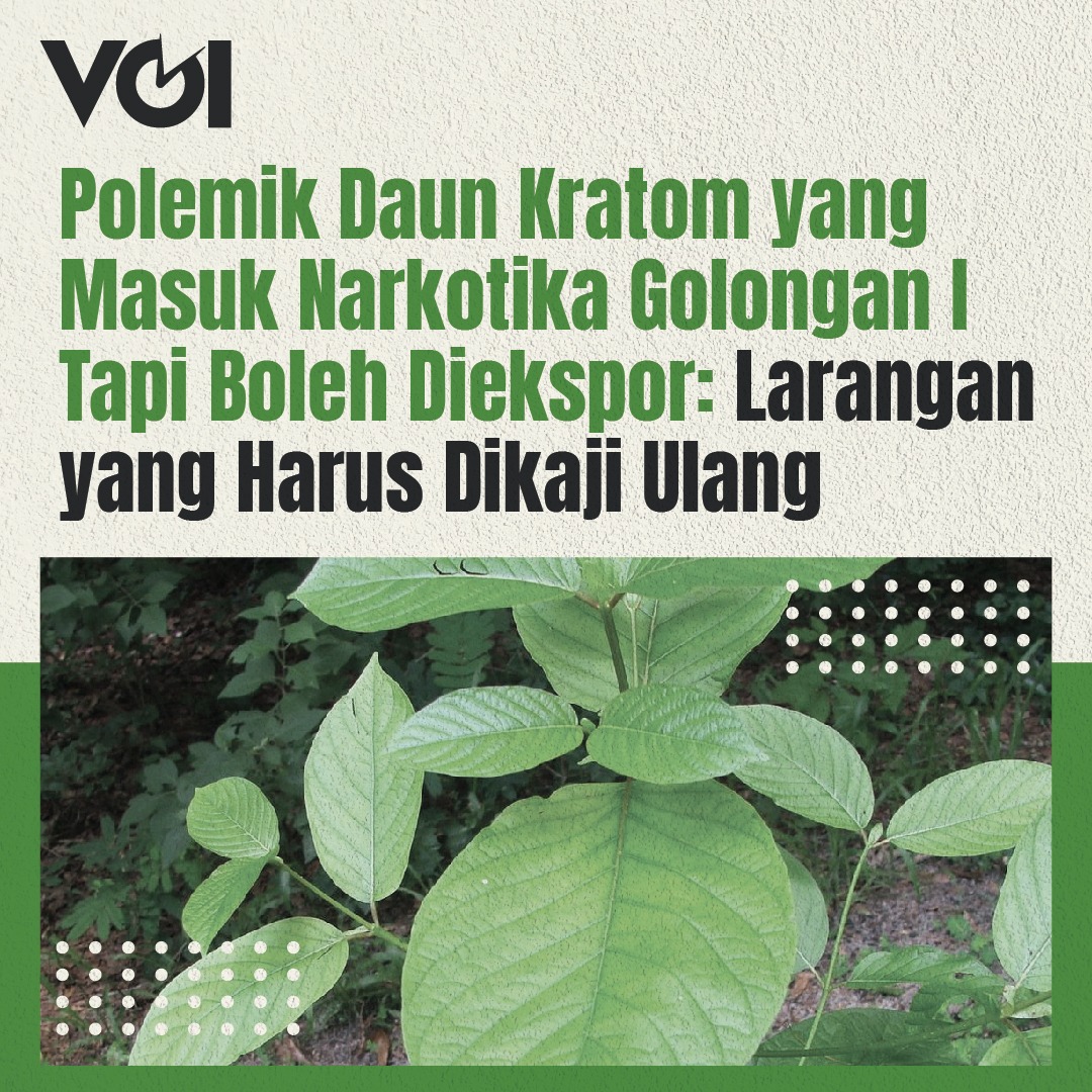 Thread

Polemik Daun Kratom yang Masuk Narkotika Golongan I Tapi Boleh Diekspor!

Sebuah jenis tanaman di Indonesia, daun kratom, diekspor ke Belanda. Tanaman tersebut banyak tumbuh di wilayah Kalimantan dan diekspor perdana ke Belanda lewat Bandara Supadio Pontianak.