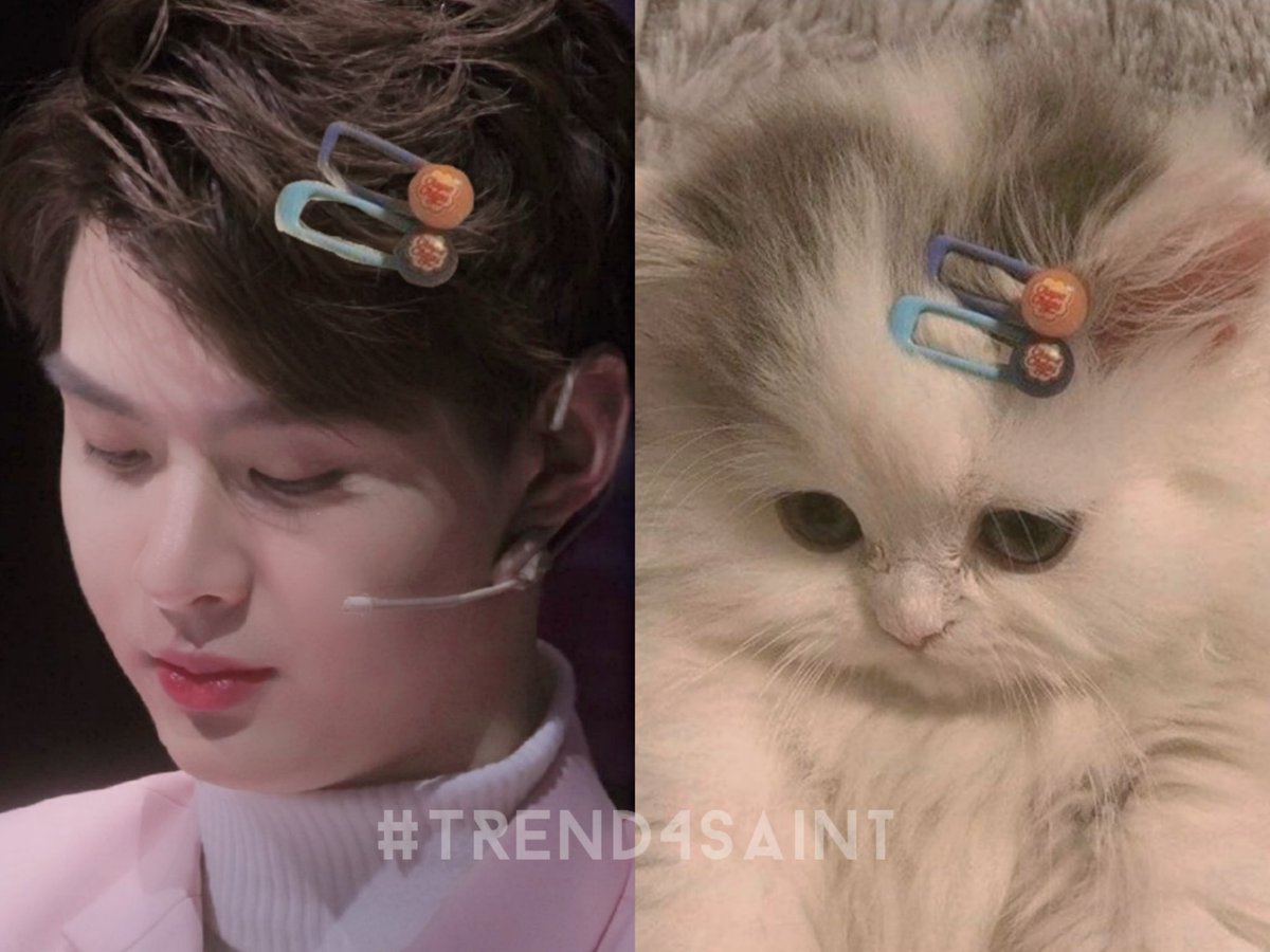 ความคิดถึงน้องเซ้นต์ มุแงวของแอด🥰

คำถาม : ในภาพนี้มีมุมุแงวกี่ตัว?🐈✌️

ไหนๆใครคิดถึงน้องเซ้นต์บ้าง?ทวิตติดแฮชแท๊กหลักน้อง พร้อมภาพประกอบและอย่าลืมเมนชั่นหาน้อง <a href="/Saint_sup/">Saintsup 🎬</a> 
#Saint_sup #MingEr 
#ฝันดีนะเซ้นต์ซุป 
•B6