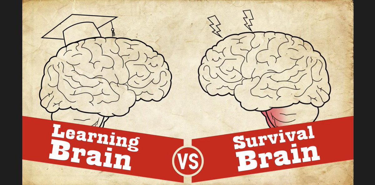 Jacob Resendes tweet media