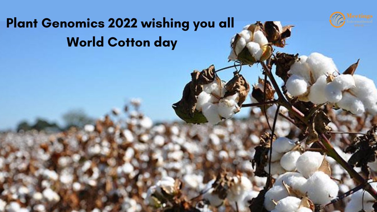 MeetingsInt's tweet photo. Celebrating #WorldCottonDay: an opportunity to recognize the global importance of cotton
URL: https://t.co/papuq6DCgs
@CongressPlant  #cottonbreeding #textileindustry #cottonfabric https://t.co/N5BuV1KfNr