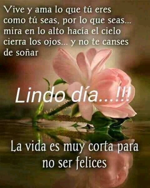 Buen Día 🙋🏻‍♀️