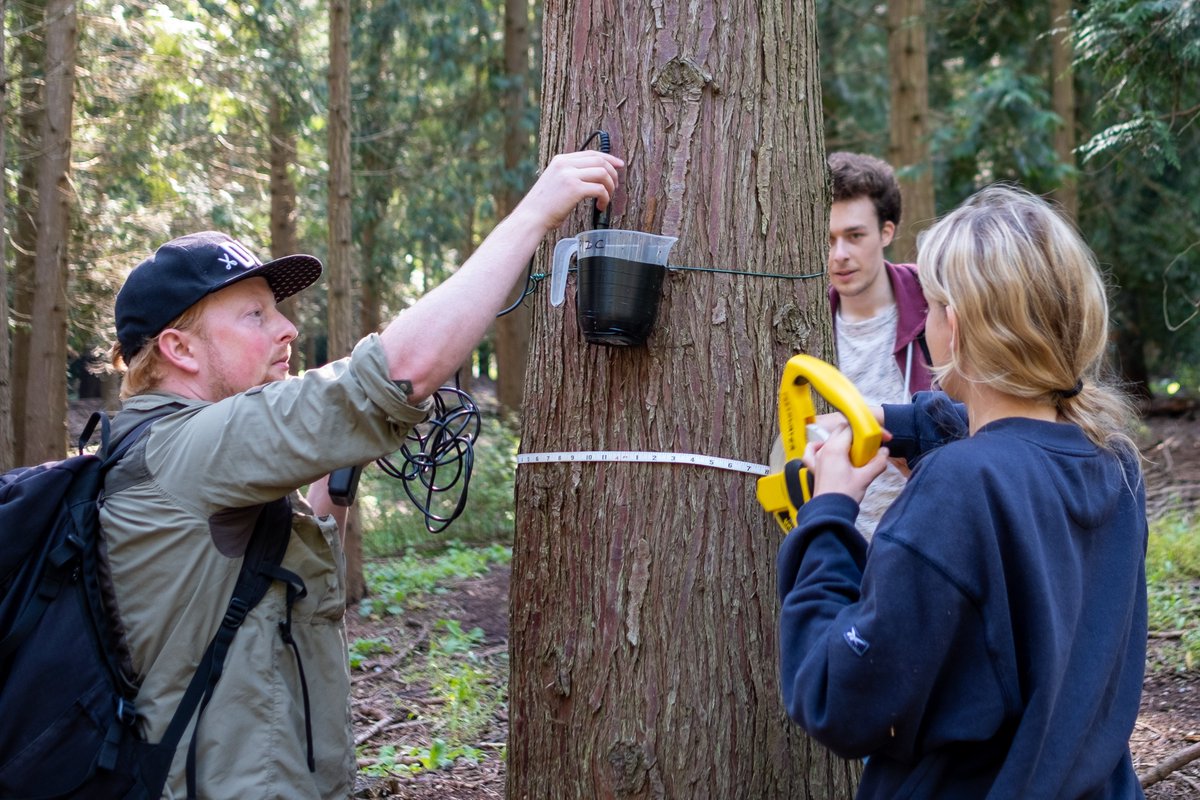 KratinaLab tweet media