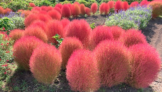 Top Tweets For 紅色 Twstalker