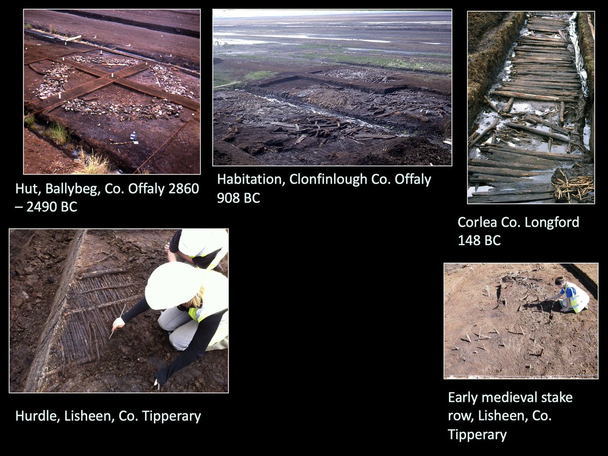Aidan O’Sullivan (@aidanosulliva15) on Twitter photo Cathy Moore and Dr Ellen O Carroll, leading experts on Ireland's raised bog archaeology presented a stark reminder at #PeatlandsGathering2021 
Ireland's unique and remarkable peatland archaeology has been subject to more development intervention and destruction any other. 1/5 Cathy Moore and Dr Ellen O Carroll, leading experts on Ireland's raised bog archaeology presented a stark reminder at #PeatlandsGathering2021 
Ireland's unique and remarkable peatland archaeology has been subject to more development intervention and destruction any other. 1/5